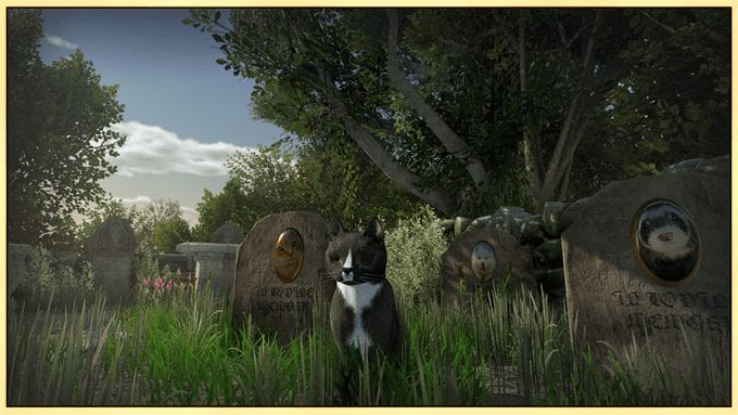 Q&A: Peace Island - Cat Playpark or Paradise Lost? 2 0a55bf79472f63f17bad2a8e0827ec1f original