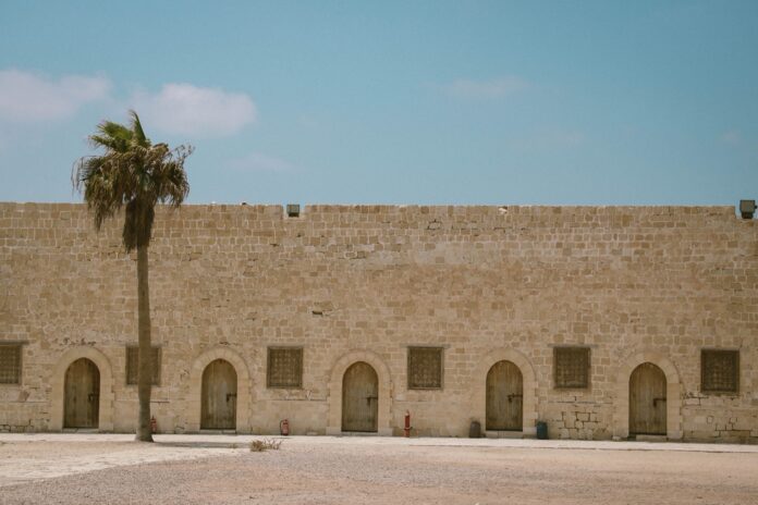 Sandstone fortress wall with arched wooden doors and a lone palm tree under a blue desert sky